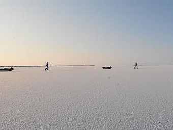 ������������� � ����������� �������. ���� Catlin Arctic Survey