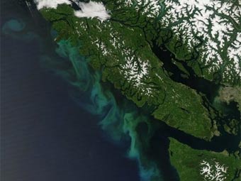 ����� "���� �����" �� ����� NASA
