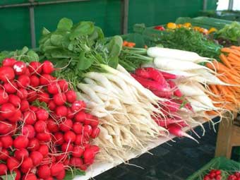 ���� Ian Britton, Freefoto.com 