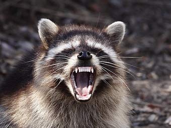 ���� Alan Vernon � ����� Flickr