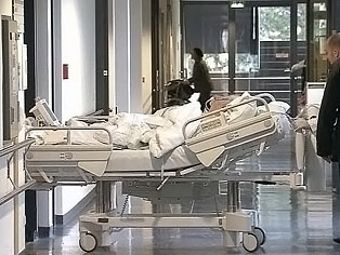 ����� ��������� � ������� �������. ���� ���������� "�����"