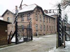 Охранник Освенцима уволен из-за кражи символа концлагеря