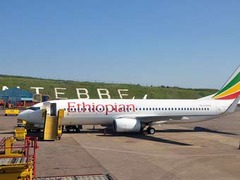 "Боинг" Ethiopian Airlines экстренно приземлился в Чаде