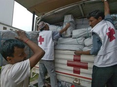 Непальский Красный крест нанял на работу бездомную собаку