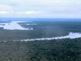 Вид на бассейн реки Шингу. Фото с сайта planettrailsfoundation.org