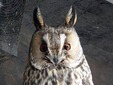 ������� ����. ���� � ����� koelnerzoo.de