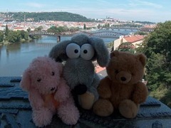 В Чехии открылось турагентство для плюшевых медведей