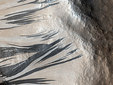   .  MRO/NASA