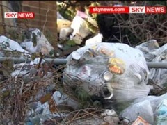 Британцу разрешили держать во дворе кучу мусора