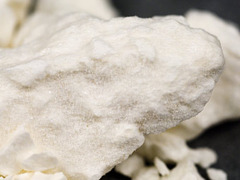 Голландская полиция обнаружила кокаин в пластиковых ананасах