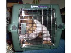 ���� � ����� babycage.net