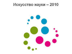 ������� ������� "��������� �����-2010"