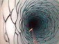 ����������� ������������ ����� � ������ ������. ���� NASA