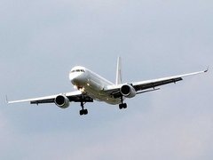 Французские туристы отказались лететь на самолете "Туполев"