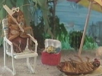 Житель Техаса открыл зал славы тараканов