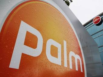  Palm.  ©AP