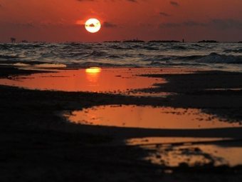 ������������ ��������� ��������. ���� &copy;AFP