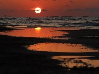 ������������ ��������� ��������. ���� &copy;AFP