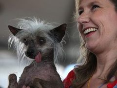 Умерла обладательница титула "самой уродливой собаки в мире"
