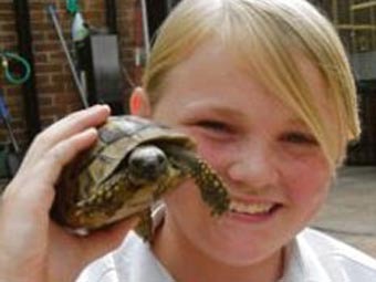 Сбежавшая от хозяев черепаха нашлась через два года в двух километрах от дома
