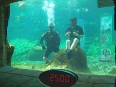 Испанец собрал два кубика Рубика в аквариуме с акулами
