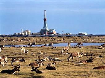 Prudhoe Bay. ���� �����-������ ��