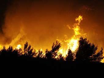 Под Марселем эвакуировали две тысячи туристов из-за лесного пожара