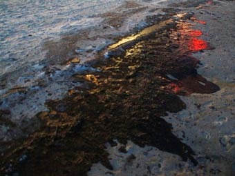 Нефть на побережье Мексиканского залива. Фото ©AFP Нефть на побережье Мексиканского залива. Фото ©AFP
