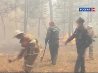 Ликвидация лесных пожаров, кадр телеканала "Россия 24"