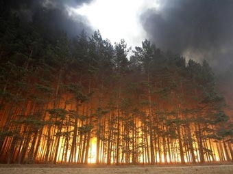 Фото ©AFP