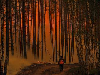 ���� &copy;AFP