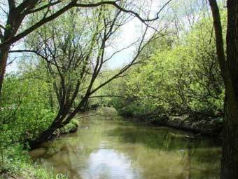 ������� ������. ���� � ����� elkisland.ru
