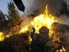 При тушении леса в Испании погибли двое пожарных