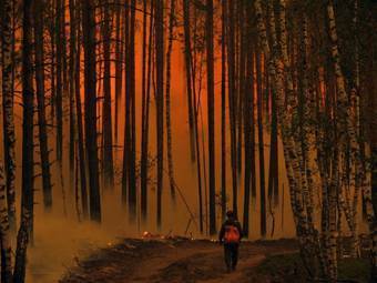 Фото ©AFP