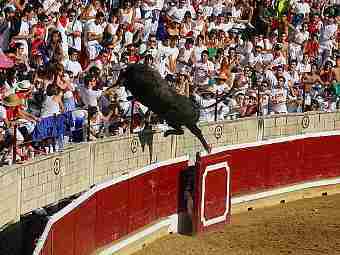 В Испании вырвавшийся с арены бык ранил 30 человек