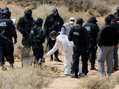 В Мексике нашли новое захоронение жертв наркокартелей