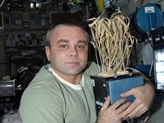 Максим Сураев. Фото из блога космонавта
