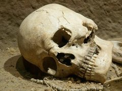 Туристы попытались вывезти из Греции черепа в качестве сувениров