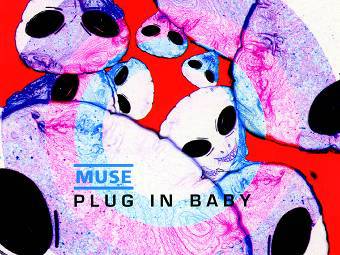 Фрагмент обложки сингла Muse "Plug In Baby"
