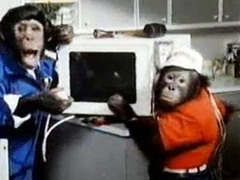 В Англии умерла шимпанзе - звезда рекламы