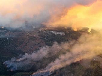 Пожар в Израиле. Фото (c)AFP Пожар в Израиле. Фото (c)AFP