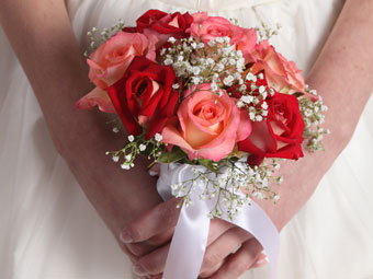 ���� � ����� photl.com