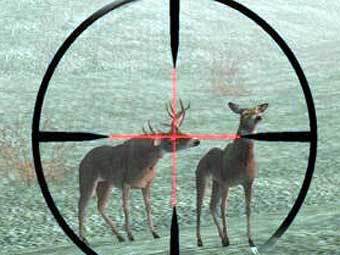 Скриншот игры Deer Hunter Скриншот игры Deer Hunter