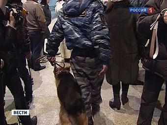 Кадр телеканала "Россия 1" с места теракта