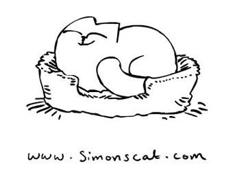 Simon's Cat