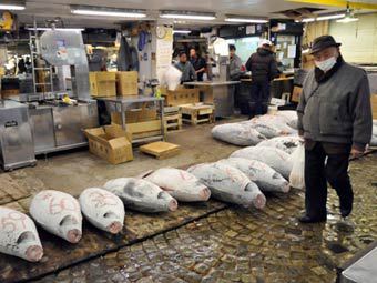 ������ ����� � ������. ���� &copy;AFP