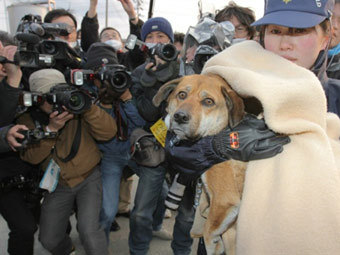 Спасенный пес по кличке Бань. Фото ©AFP