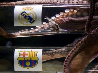 �������� ���� ������������� ������ "�����". ���� &copy;AFP