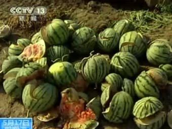 ���� ������������ CCTV 