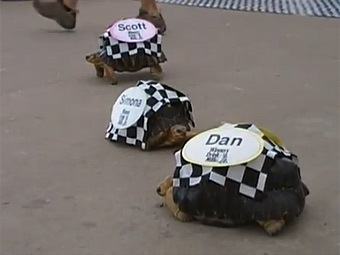 ��������� ����� Zoopolis 500. ���� �� ����������� � ������� YouTube